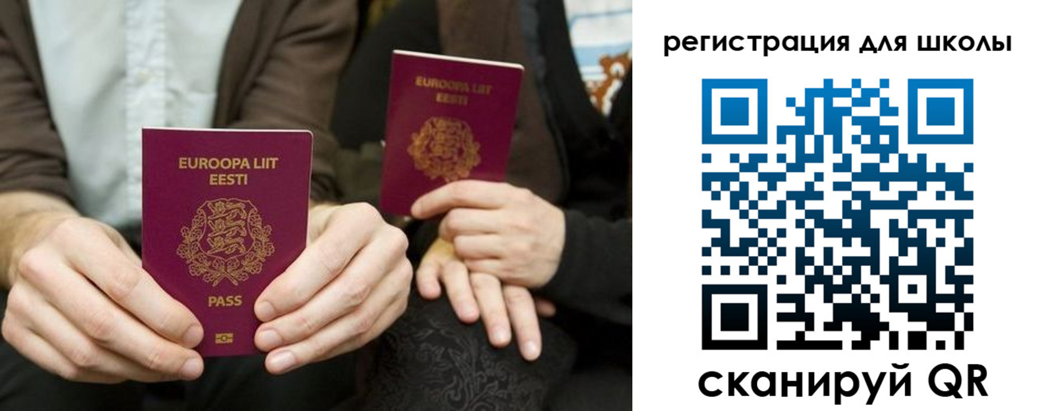 прописка поиск в Светлом